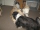 Thumbs/tn_Bild 032.jpg